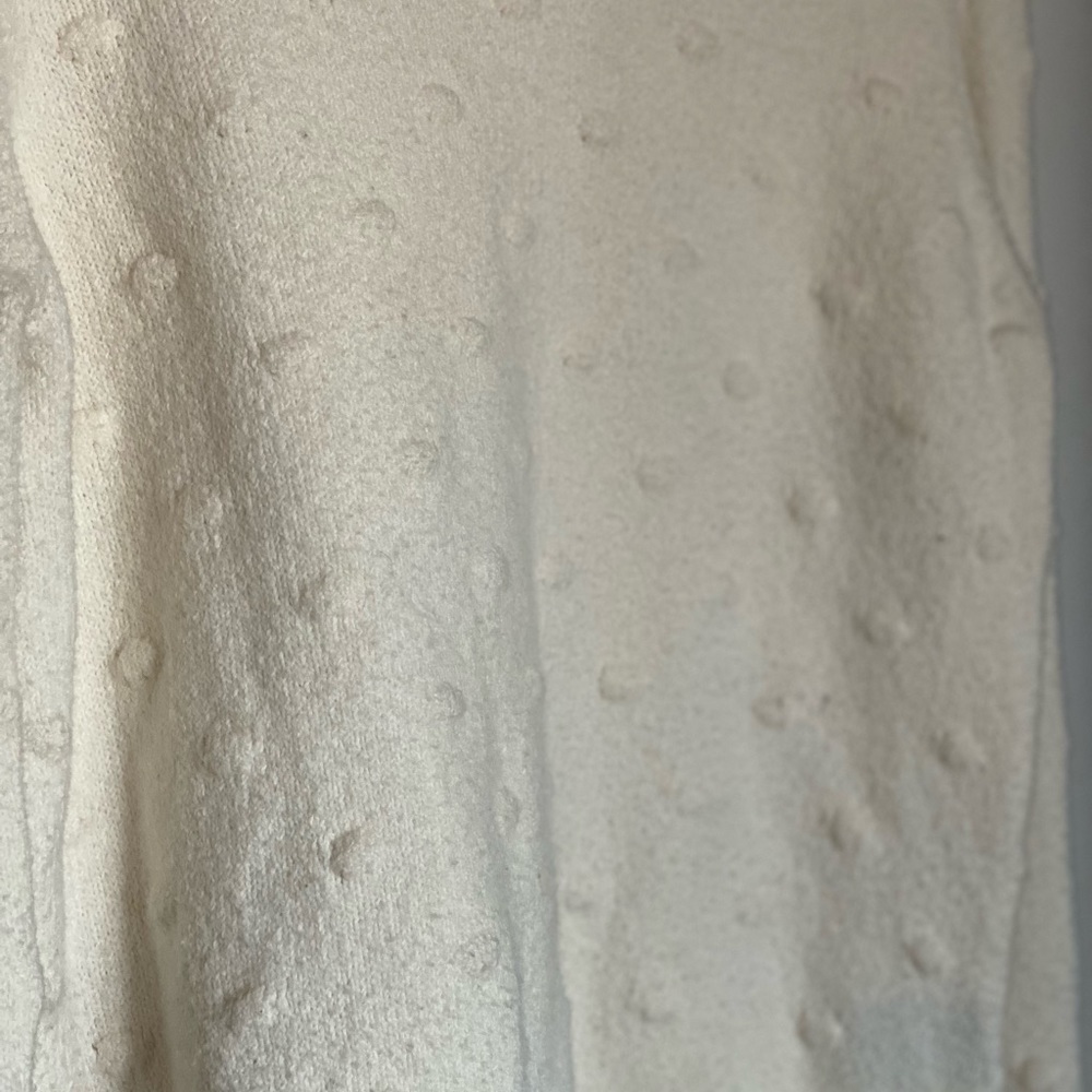 Who What Wear for Target Dotted Cream Sweater